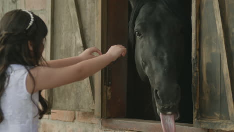 a girl in a white dress gently approaches a stable window to try to pet a black horse.