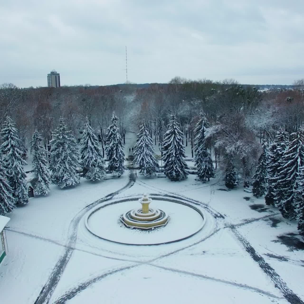 Beautiful high fir-trees covered with snow surrounding the square with fountain. Winter in urban park. Aerial view