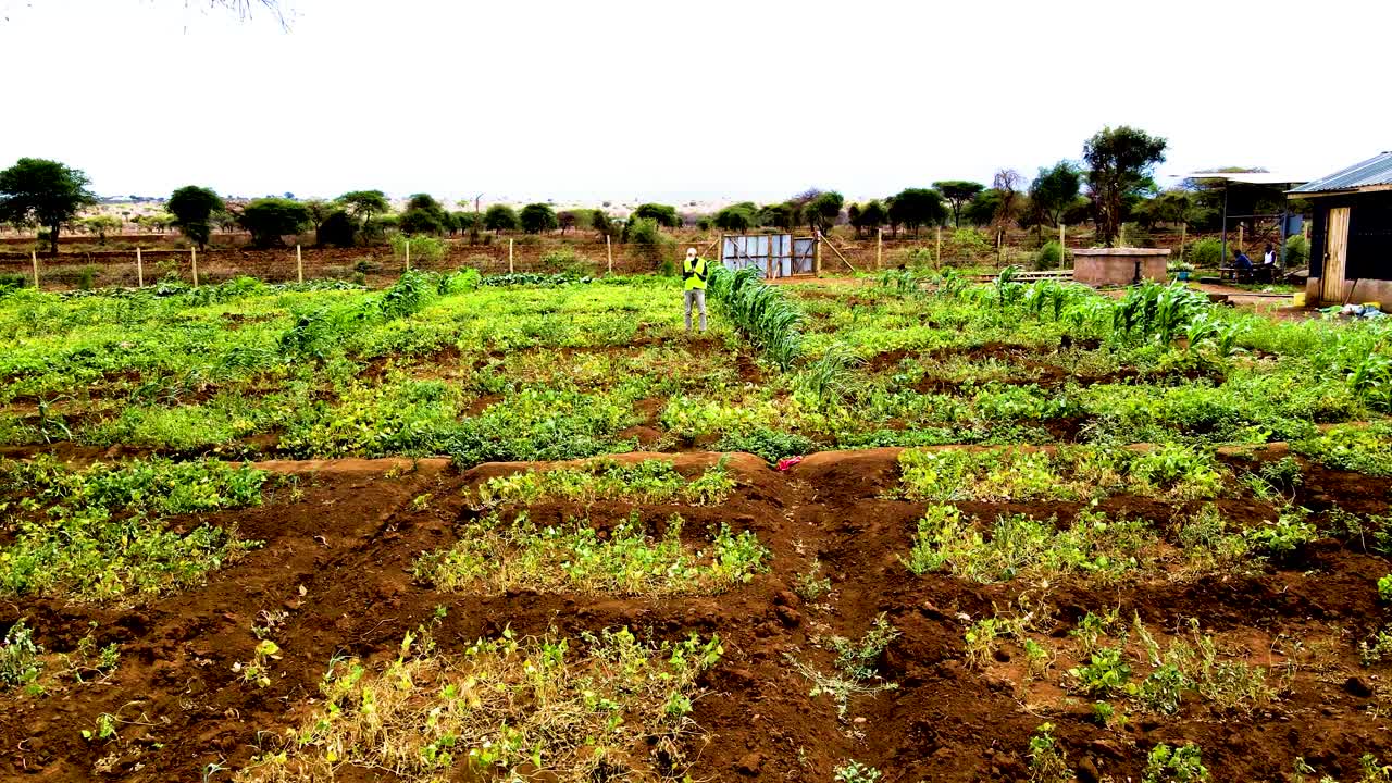 케냐 의 농촌 농장 들
