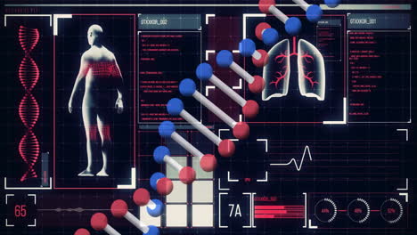 Animación-De-Análisis-De-Datos-Médicos-Sobre-El-Cuerpo-Humano,-La-Cadena-De-ADN-Y-El-Diagrama-De-Los-Pulmones