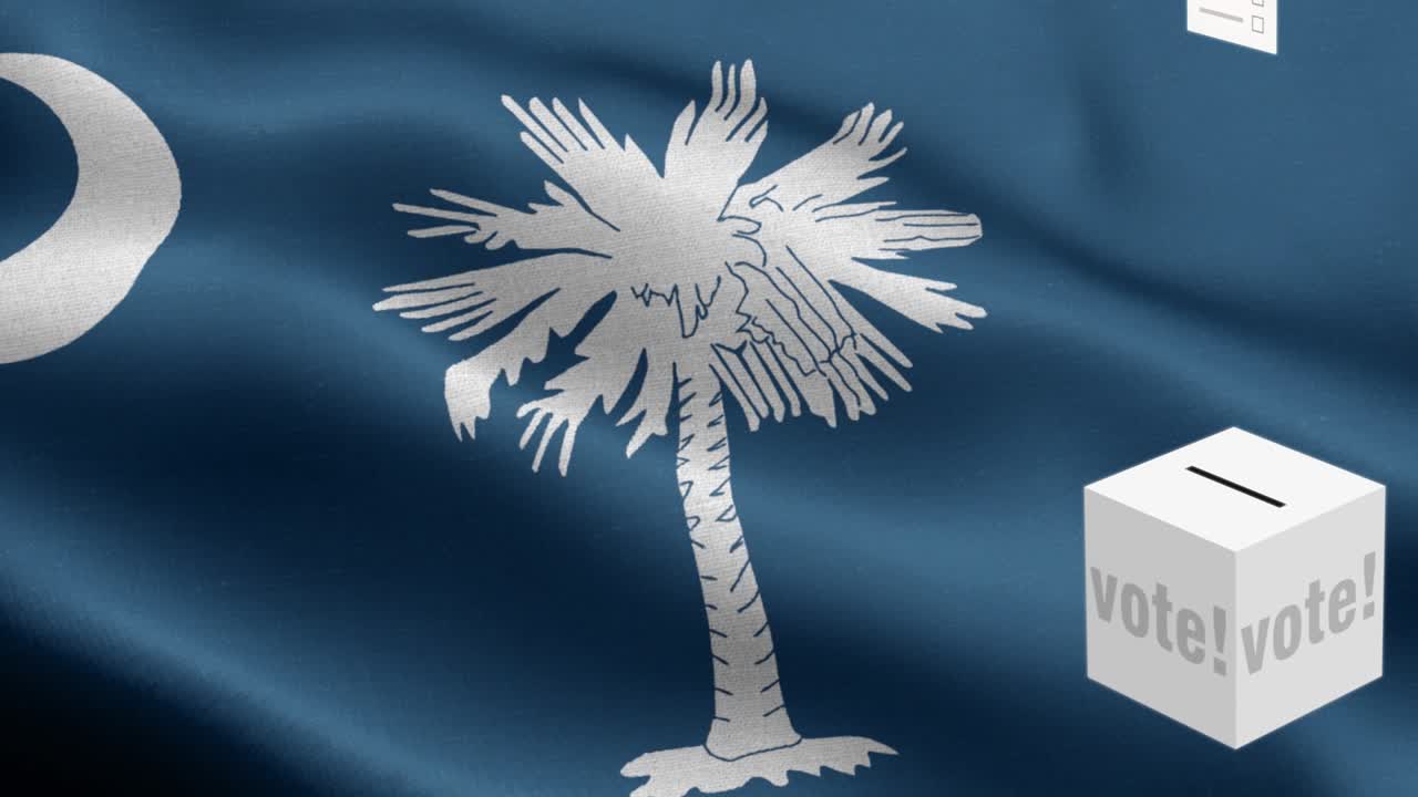 사우스 캐롤라이나 주 - 투표용지가 사우스 캐롤라이나 선택을 위해 상자에 날아갑니다 - 발 앞에 있는 투표용지 - 선거 - 투표 - 국가 발 사우스 캐롤라이나주 파동 패턴 루프 가능한 요소 - 직물 질감과 끝없는 루프