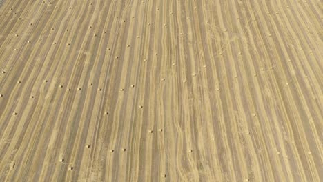 high above harvested wheat field and round bales of hay 4k drone video