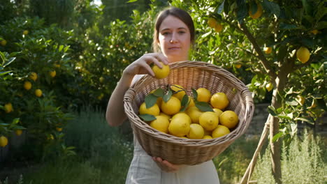 woman holding basket of lemons in lemon tree garden
