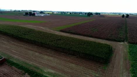 Granjeros-Amish-Cosechando-Cultivos-De-Otoño-Vistos-Por-Un-Dron