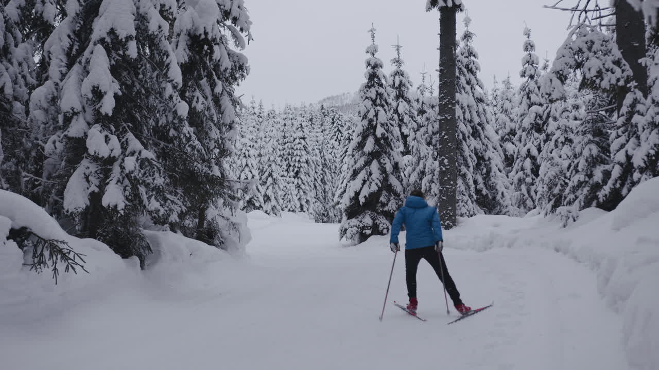 Winter Cross-Country Skiing in a Snowy Forest