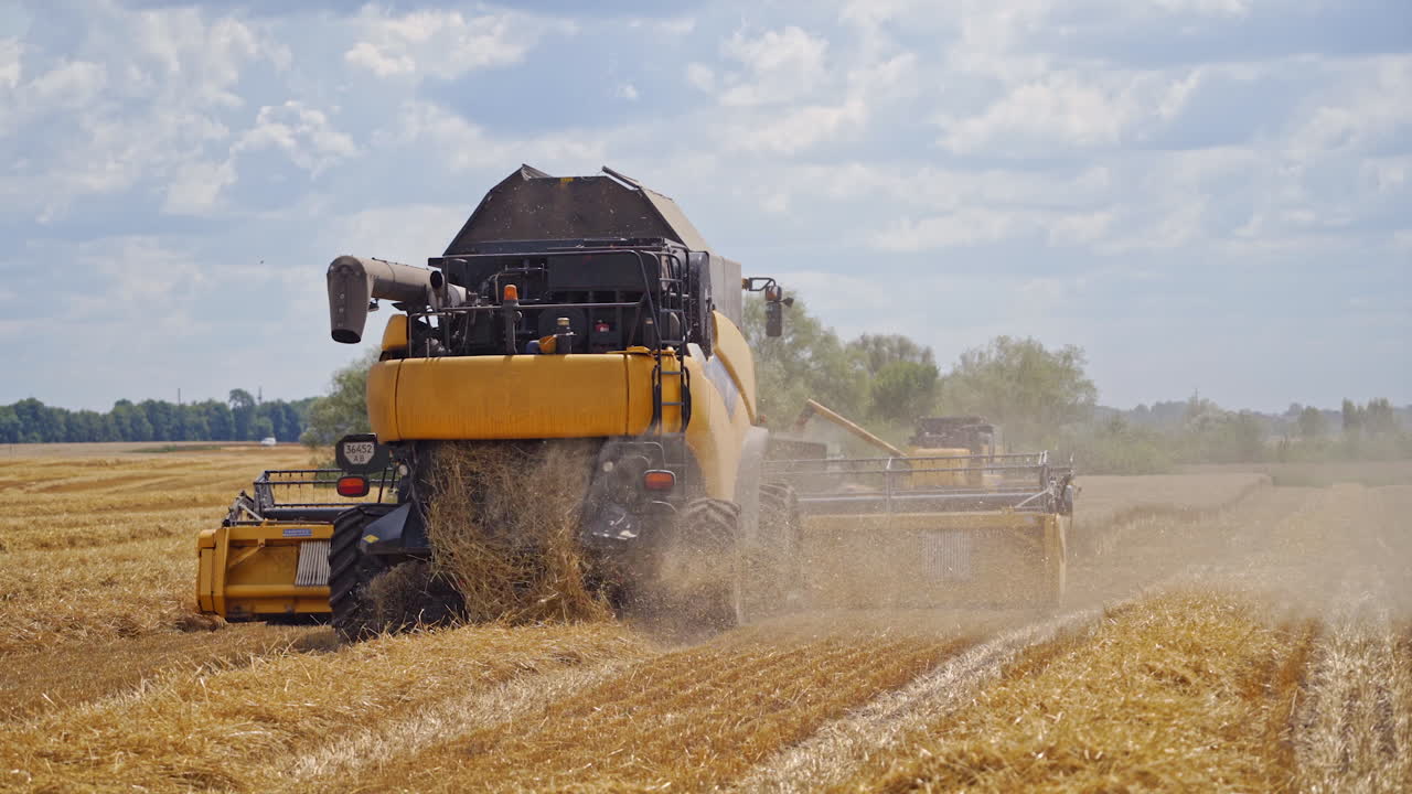 Season of gathering crops. Combine harvester agriculture machine harvesting golden ripe wheat field