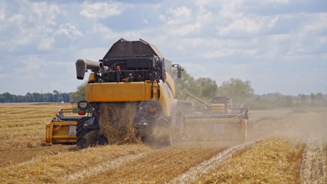 season of gathering crops. combine harvester agriculture machine harvesting golden ripe wheat field