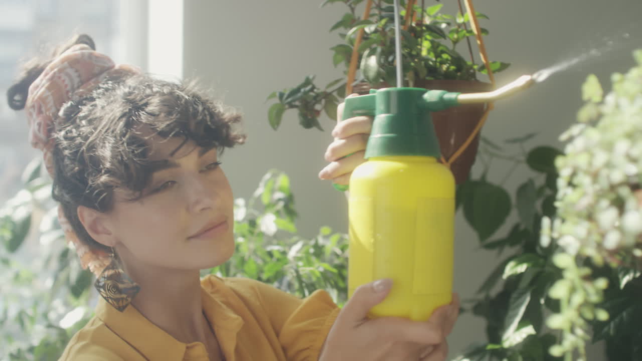 Woman Spraying Leaves of Indoor Plants