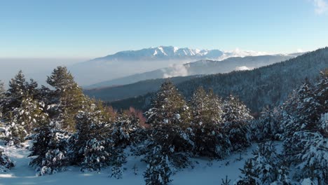 Orbit-drone-snow-covered-forest-trees-winter-Mountain-Olympus-background-sunny-day-blue-sky