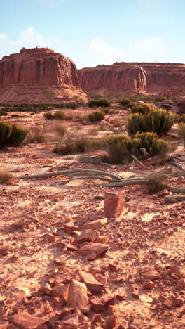 stunning desert landscape with red rock formations