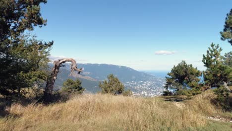 vista a la montaña con paisaje urbano y árboles