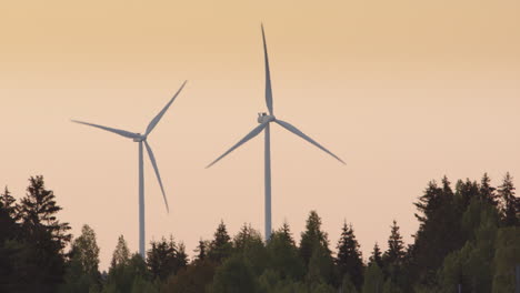 golden hour, dawn - wind turbines jutting up out of a forest, sweden