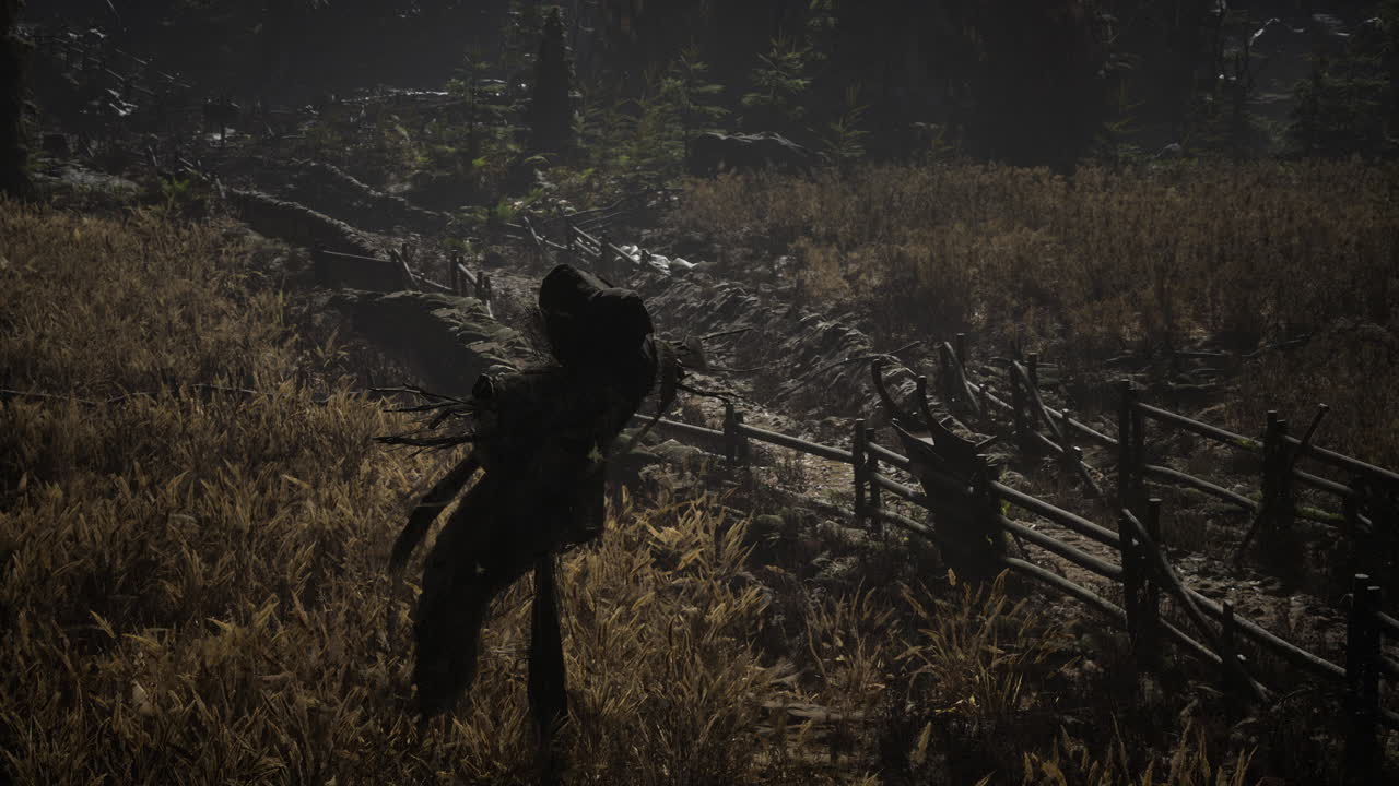 오래된 마을 필드에 스케이크로우