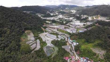 vista general del paisaje del distrito de brinchang dentro del área de cameron highlands de malasia