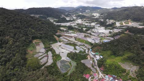 general landscape view of the brinchang district within the cameron highlands area of malaysia