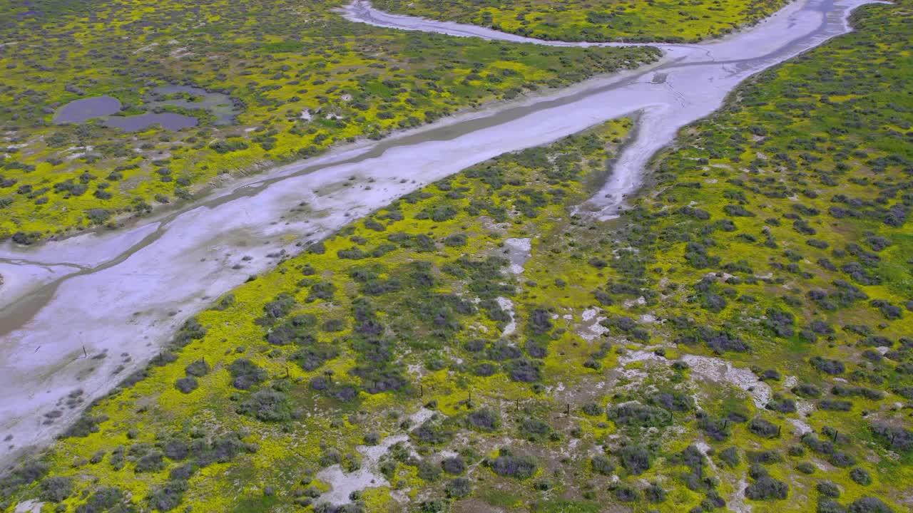vista aérea de arriba hacia abajo del lago soda en la llanura de carrizo durante el superbloom en california