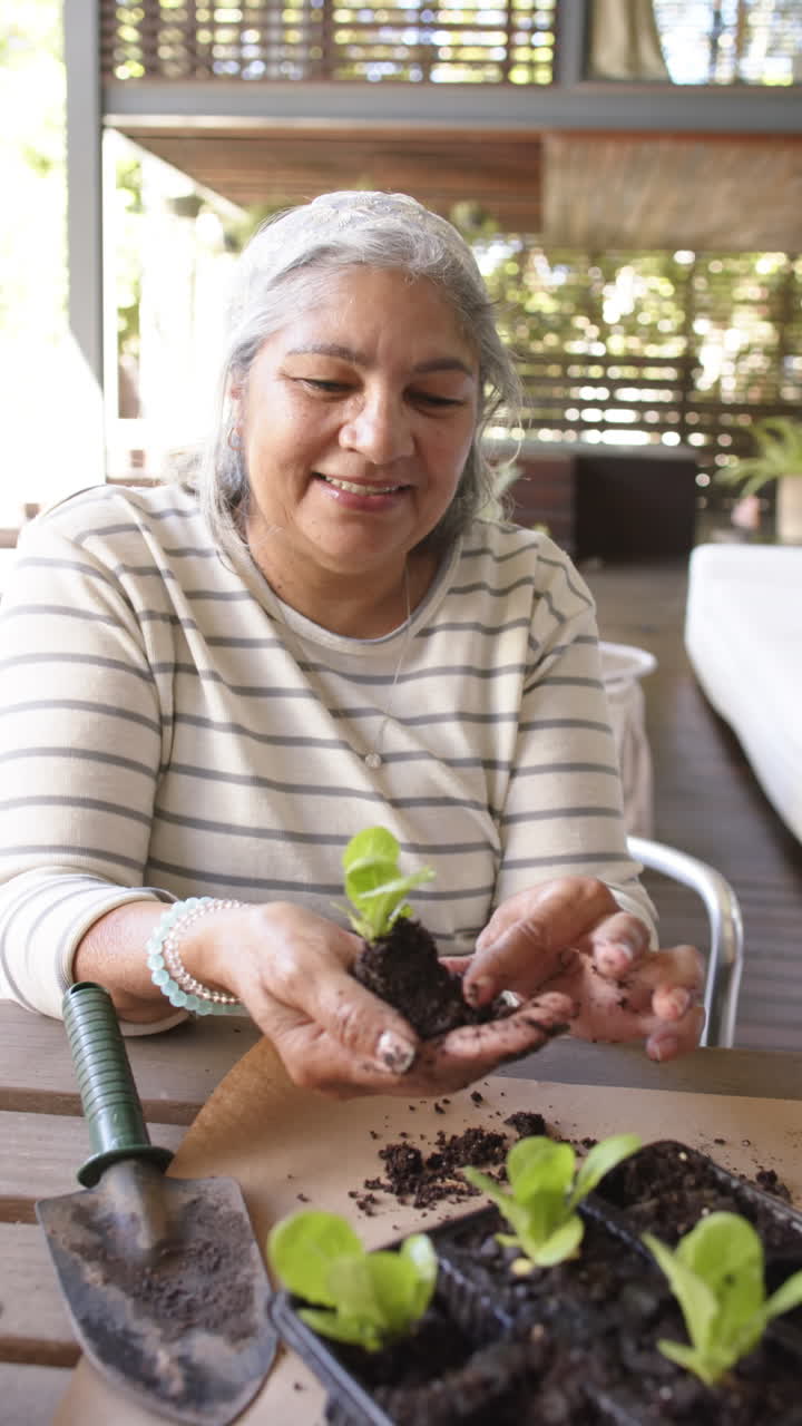 Happy biracial senior woman sitting at table and planting plants to pots on porch, vertical