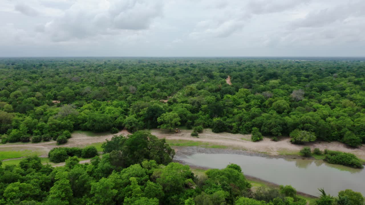 Aerial drone shot flying over the end of a lake of Selous jungle into a dense jungle. Tanzania, cloudy day.