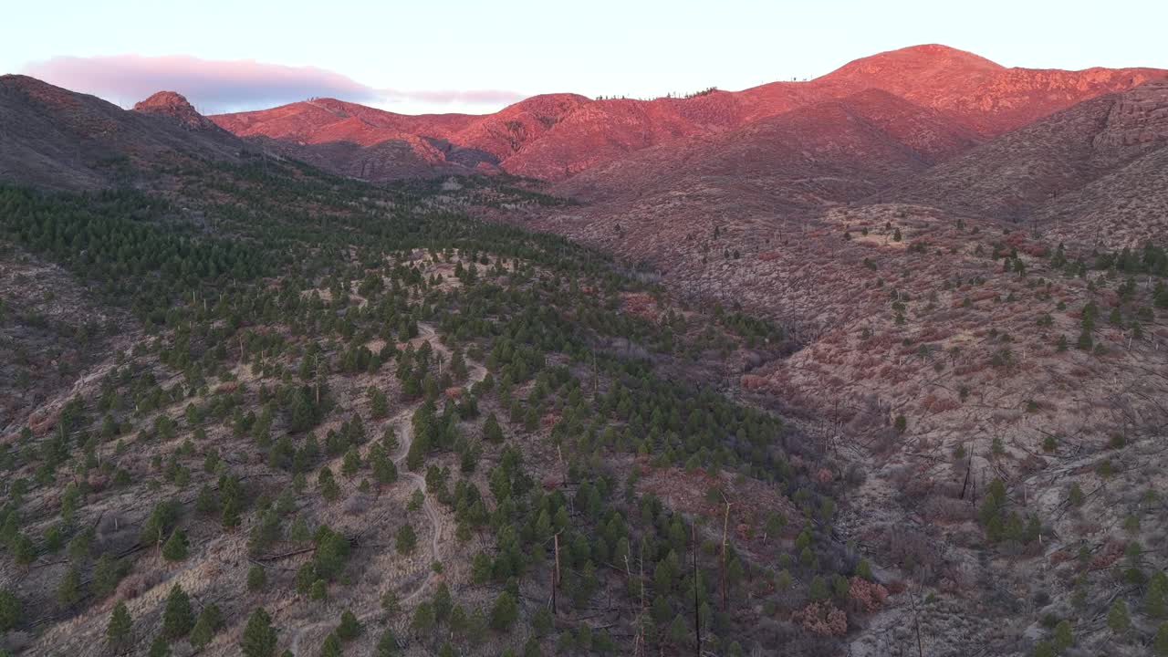 Majestic sunrise and golden hour light cast warm, dramatic colors across a mountain treeline and hills. The scenic view captures the tranquil beauty of the American Southwest