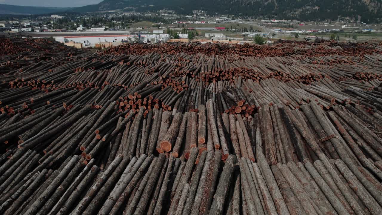 almacenamiento de troncos de canadá en el patio del aserradero