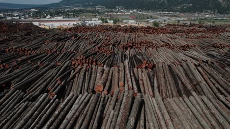 Almacenamiento-De-Troncos-De-Canadá-En-El-Aserradero