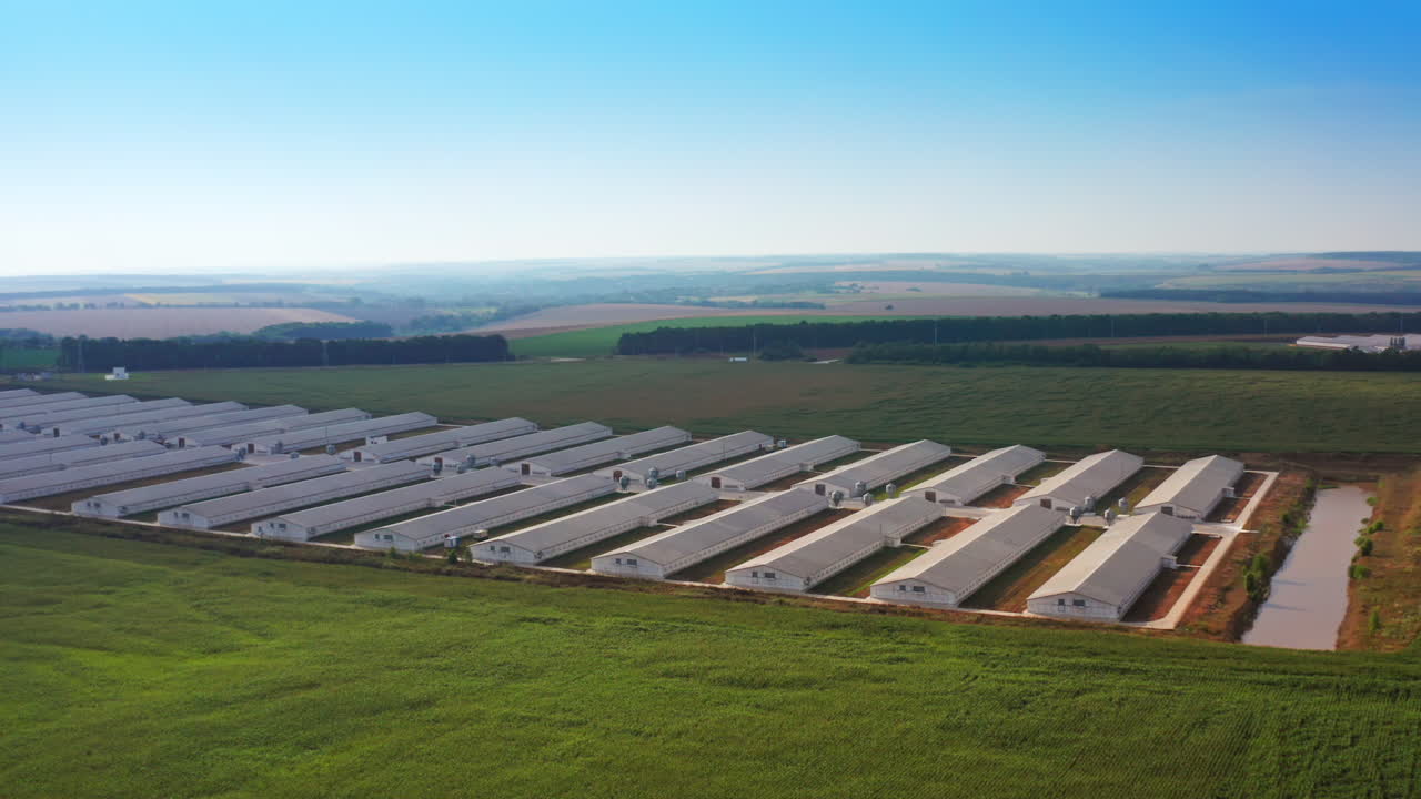 Farm barns in plain rows at modern agricultural plant. Up-to-date farming facility for breeding animals. Another farm at backdrop. Top view.