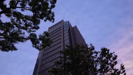 Low-angle-view-up-towards-high-skyscrapers,-trees-silhouettes-against-beautiful-cloudy-sky