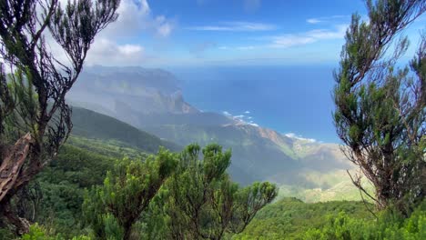 bel punto di vista del parco nazionale di anaga a tenerife, in spagna