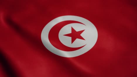tunisian flag