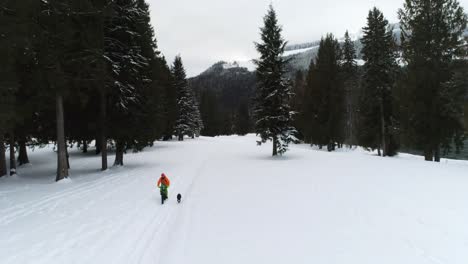 Hombre-Con-Perro-En-Bicicleta-En-Un-Bosque-Nevado-4k