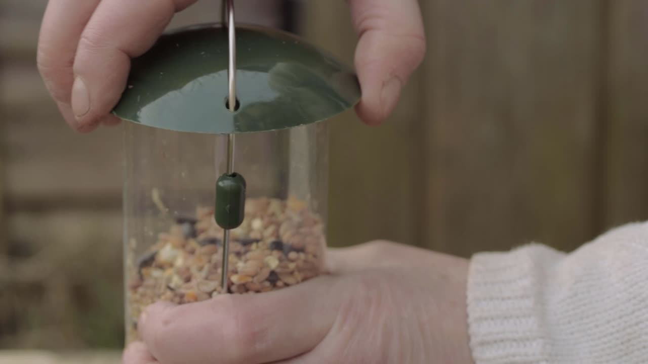 Hand opening a bird feeder full of wild bird seed mix on tree branch close up