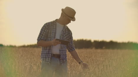 Un-Joven-Granjero-Con-Una-Tableta-Con-Sombrero-En-Un-Campo-De-Centeno-Toca-El-Grano,-Mira-Los-Brotes-Y-Presiona-Los-Dedos-En-La-Pantalla-De-La-Computadora