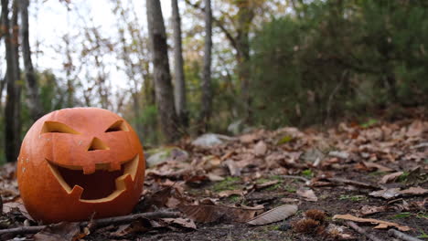 Halloween-evil-grinning-pumpkin-in-the-forest