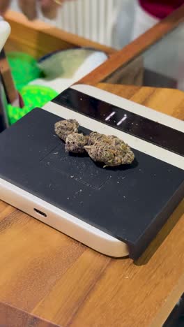los brotes de cannabis se pesan en una balanza digital en un dispensario de phuket. iluminación brillante, vista de cerca, mostrador de madera