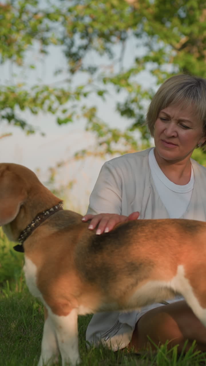 dueño del perro sentado en el campo de hierba frotando la espalda del perro con afecto mientras observa pensativo, creando un momento tranquilo y pacífico bajo la cálida luz del sol con exuberante vegetación y árboles en el fondo