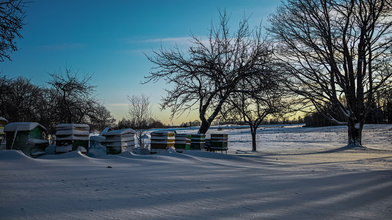 눈 덮인 농장 필드와 양봉장 위에 드리워지는 나무의 시간 경과 샷 그림자