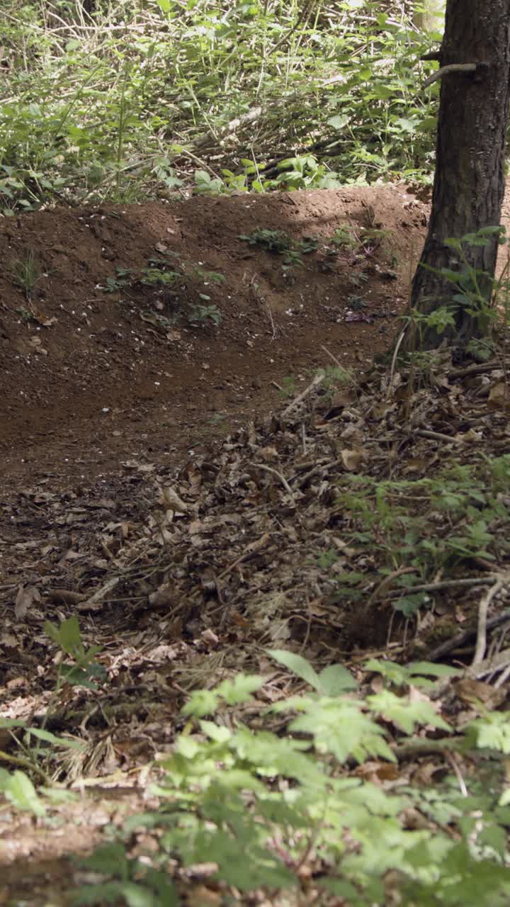 video vertical de un hombre en bicicleta de montaña ciclando a lo largo de un sendero de tierra a través del bosque 8