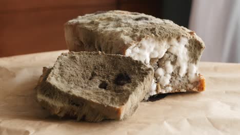 moldy bread rotating, turning round