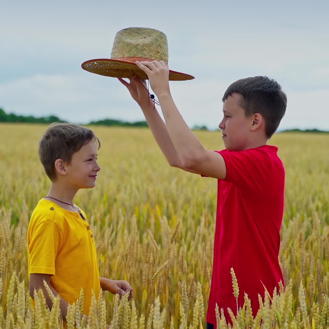 Boys on yellow field in summer day. Teenage boy gives his straw hat to the younger brother. Happy children in agricultural land. Slow motion.