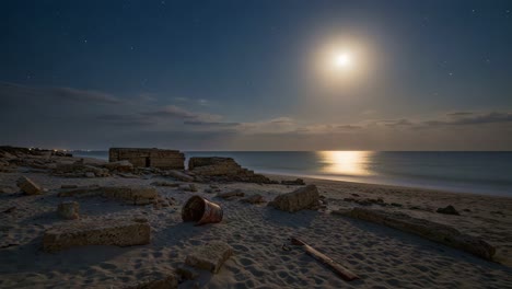 moonlit beach: a serene coastal landscape with remnants on sand understarry sky and reflective water during nighttime