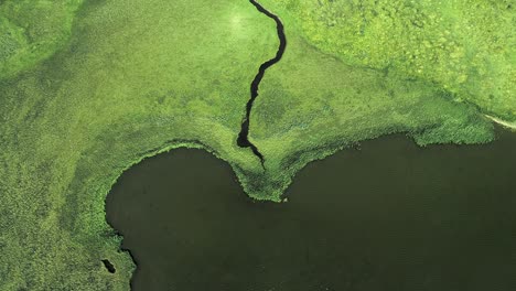 lush green savannah field and a lake with river flyover