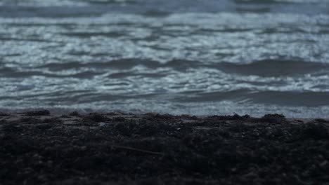 dead seaweed and small waves on the beach, slow motion