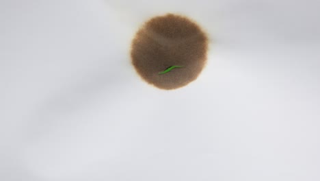crumpled  white sheet of paper burns with a hole on a green background. original video transition. flame and smoke. green background.