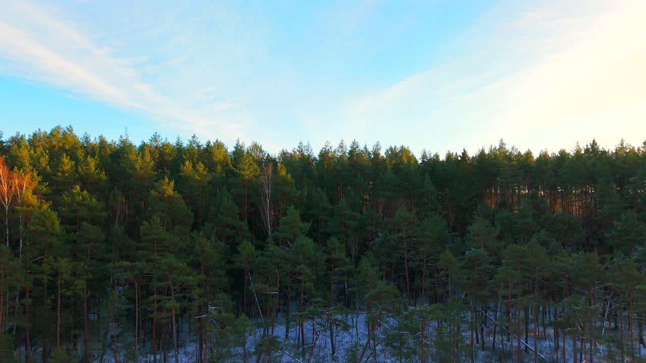Snowy winter landscape in Poland with aerial view of frozen lakes and pine forests