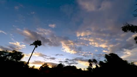 desde la azotea en scottsdale, las nubes de tormenta de arizona llenan el cielo mientras el sol se pone contra un primer plano siluetas de palmeras, arbustos y plantas del desierto.