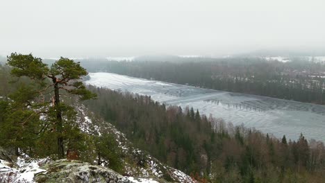 Incline-La-Vista-De-ángulo-Alto-De-Las-Copas-De-Los-árboles-Y-El-Lago-Brumoso-Durante-El-Invierno-En-Escandinavia