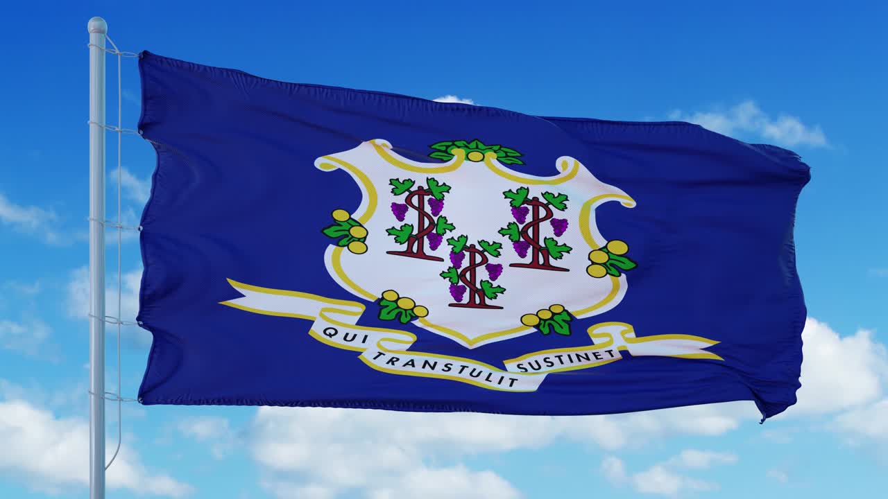 바람에 흔들리는 코네티, 파란 하늘 배경 4k