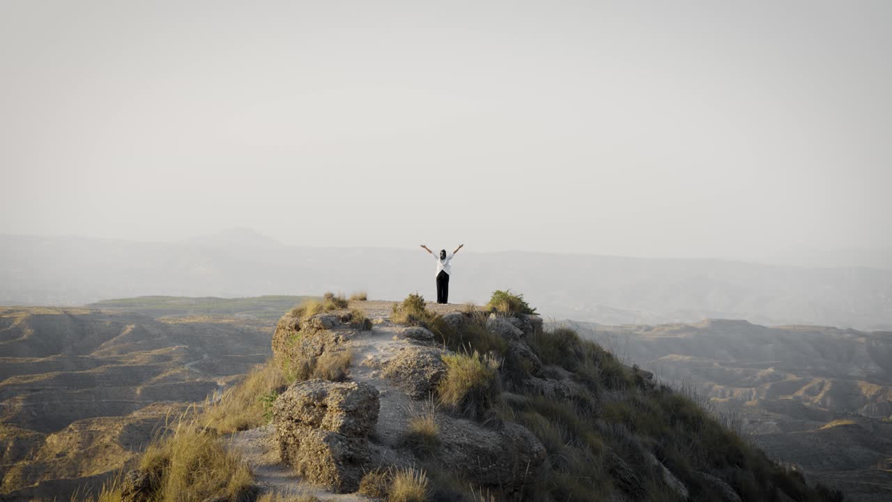 Successful businesswoman reaching the summit of a mountain