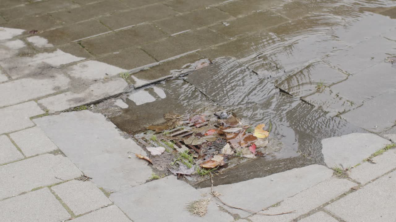 Wasser fließt in verstopften Abfluss mit Blättern