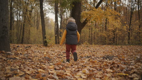 Guten-Tag-Im-Herbstwald.-Kleiner-Junge-Rennt-Und-Hat-Spaß-Dabei,-Die-Rückansicht-Zu-Verfolgen.-Glückliche-Kindheit-Und-Wochenende-In-Der-Natur